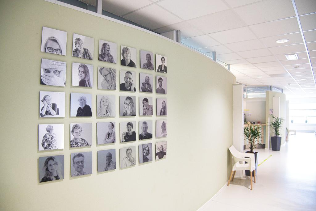 Muur in de wachtkamer van Arts en Zorg Leeuwarden