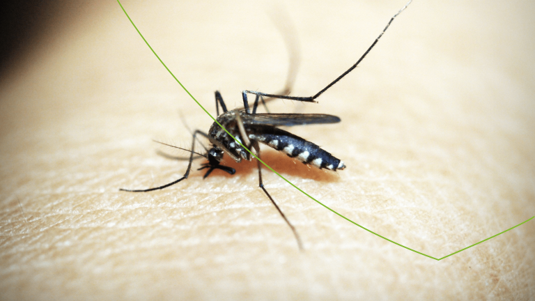 Insect prikt in de huid